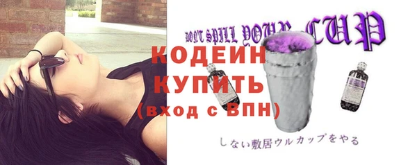 мяу мяу мука Иннополис
