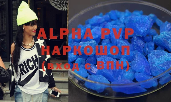 мяу мяу мука Иннополис