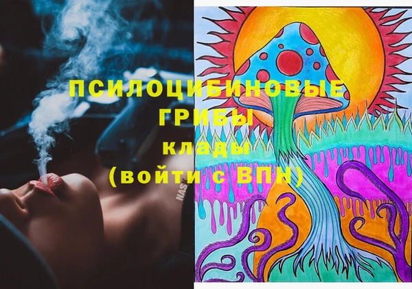 кокс Инта