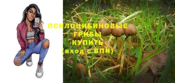 MESCALINE Инсар