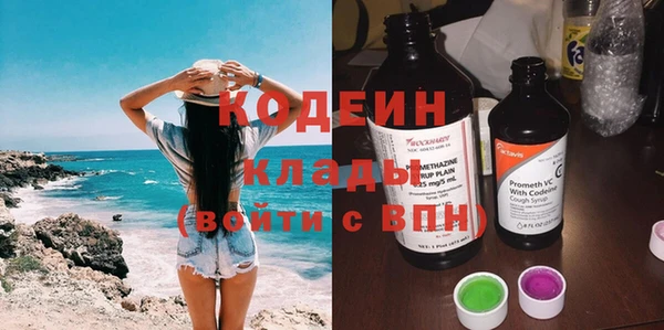 мяу мяу мука Иннополис