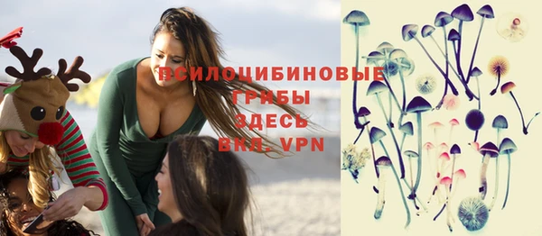 кокс Инта