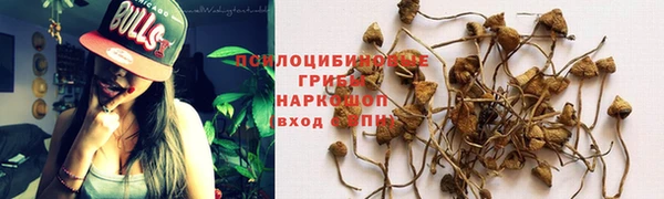 MESCALINE Инсар