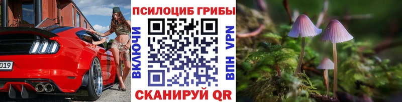Купить  Белогорск  Псилоцибиновые грибы мухоморы 